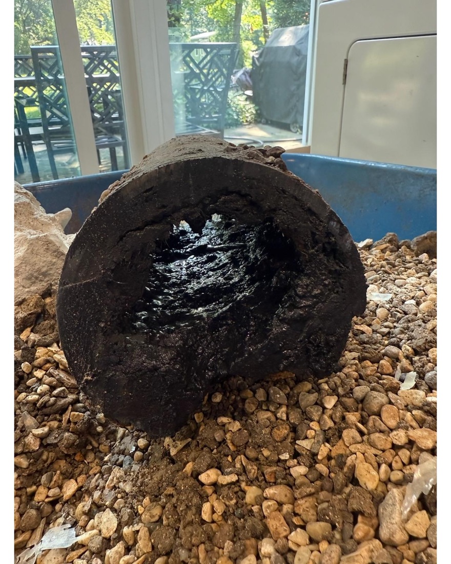 Section of sewer pipe cut open, the bore almost completely blocked with hardened grease